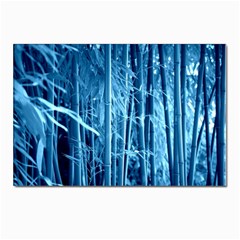 Blue Bamboo Postcard 4 x 6  (10 Pack) by Siebenhuehner