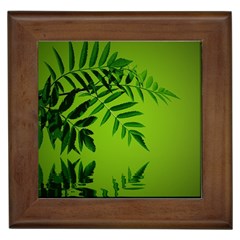 Leaf Framed Ceramic Tile by Siebenhuehner