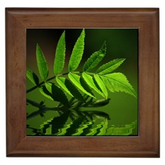 Leaf Framed Ceramic Tile by Siebenhuehner