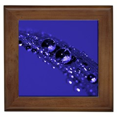 Waterdrops Framed Ceramic Tile by Siebenhuehner