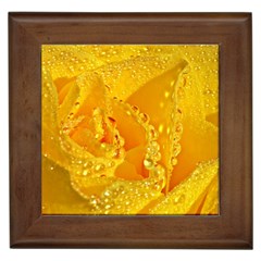 Waterdrops Framed Ceramic Tile by Siebenhuehner