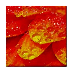 Waterdrops Ceramic Tile by Siebenhuehner