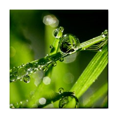 Waterdrops Ceramic Tile by Siebenhuehner