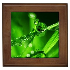 Waterdrops Framed Ceramic Tile by Siebenhuehner