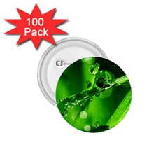 Waterdrops 1 75  Button (100 Pack) by Siebenhuehner