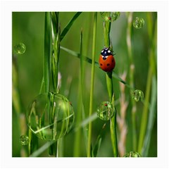 Ladybird Glasses Cloth (medium) by Siebenhuehner