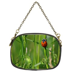 Ladybird Chain Purse (two Sided)  by Siebenhuehner