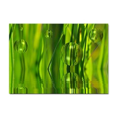 Green Bubbles  A4 Sticker 100 Pack by Siebenhuehner