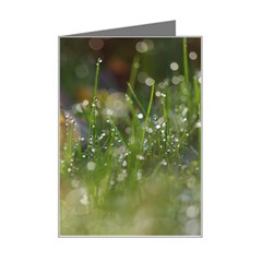 Drops Mini Greeting Card by Siebenhuehner