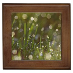 Waterdrops Framed Ceramic Tile by Siebenhuehner