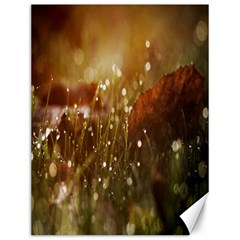 Waterdrops Canvas 12  X 16  (unframed) by Siebenhuehner