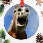 Haflinger  Round Ornament Front