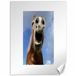 Haflinger  Canvas 36  x 48  (Unframed) 35.26 x46.15  Canvas - 1