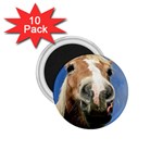 Haflinger  1.75  Button Magnet (10 pack) Front