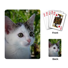 Young Cat Playing Cards Single Design by Siebenhuehner