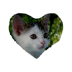 Young Cat 16  Premium Heart Shape Cushion  by Siebenhuehner