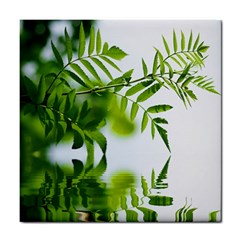 Leafs With Waterreflection Ceramic Tile by Siebenhuehner