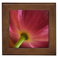 Poppy Framed Ceramic Tile by Siebenhuehner