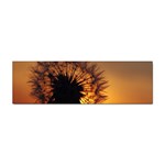 Dandelion Bumper Sticker 10 Pack Front