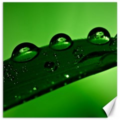 Waterdrops Canvas 16  X 16  (unframed) by Siebenhuehner