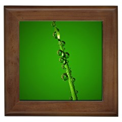 Waterdrops Framed Ceramic Tile by Siebenhuehner