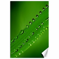 Waterdrops Canvas 20  X 30  (unframed) by Siebenhuehner