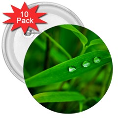 Bamboo Leaf With Drops 3  Button (10 Pack) by Siebenhuehner