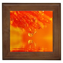 Waterdrops Framed Ceramic Tile by Siebenhuehner