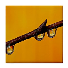 Tree Drops  Ceramic Tile by Siebenhuehner