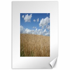 Grain And Sky Canvas 12  X 18  (unframed) by plainandsimple