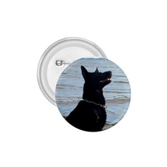 Black German Shepherd 1 75  Button by StuffOrSomething