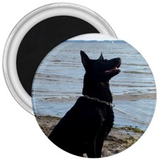 Black German Shepherd 3  Button Magnet by StuffOrSomething