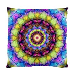 Rainbow Glass Cushion Case (two Sided)  by Zandiepants