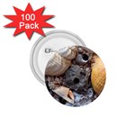 Beach Treasures 1.75  Button (100 pack) Front