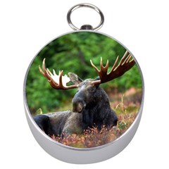 Majestic Moose Silver Compass by StuffOrSomething