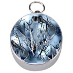 Abstract Of Frozen Bush Silver Compass Front