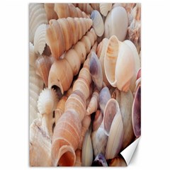 Seashells 3000 4000 Canvas 12  X 18  (unframed) by yoursparklingshop