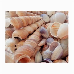 Seashells 3000 4000 Glasses Cloth (small, Two Sided) by yoursparklingshop