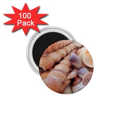 Sea Shells 1 75  Button Magnet (100 Pack) by yoursparklingshop