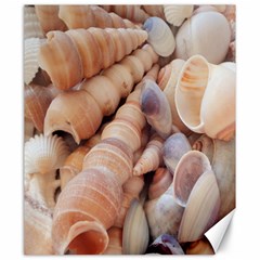 Sea Shells Canvas 20  X 24  (unframed) by yoursparklingshop