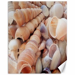 Sea Shells Canvas 11  X 14  (unframed) by yoursparklingshop