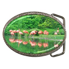 Flamingo Birds At Lake Belt Buckle (oval) by yoursparklingshop