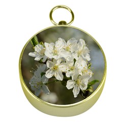 Spring Flowers Gold Compass by anstey