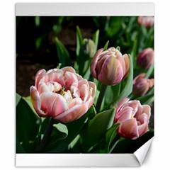 Tulips Canvas 20  X 24  (unframed) by anstey