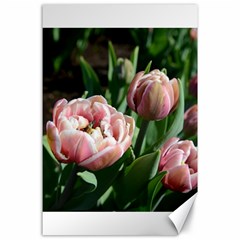 Tulips Canvas 24  X 36  (unframed) by anstey