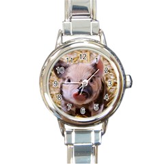 Sweet Piglet Round Italian Charm Watches by ImpressiveMoments