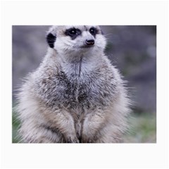 Adorable Meerkat 03 Small Glasses Cloth by ImpressiveMoments