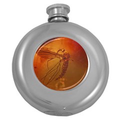 Mosquito In Amber Round Hip Flask (5 Oz) by trendistuff