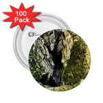 MOUNTAIN PATH 2.25  Buttons (100 pack)  Front