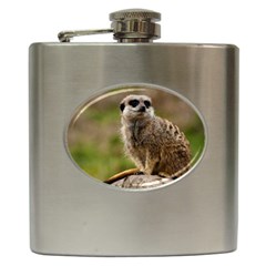 Meerkat Hip Flask (6 Oz) by trendistuff